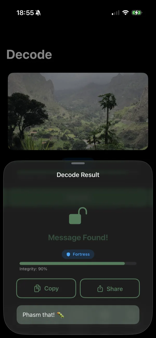 Hidden message found and decoded with 90% integrity