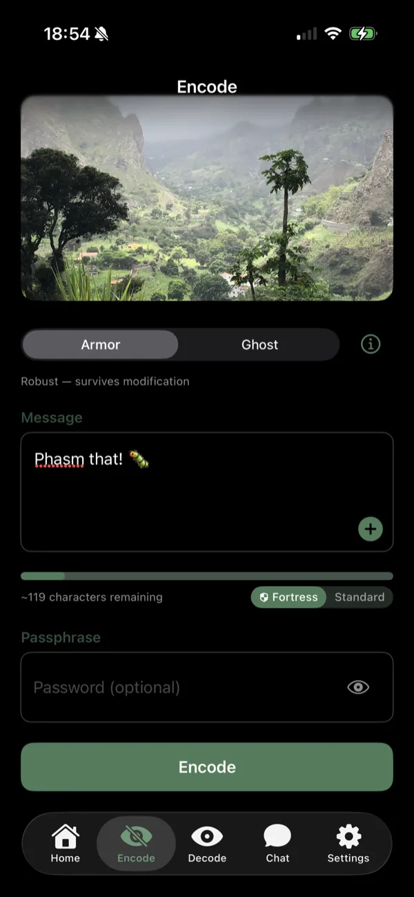 Phasm encode screen showing a photo with a hidden message being typed